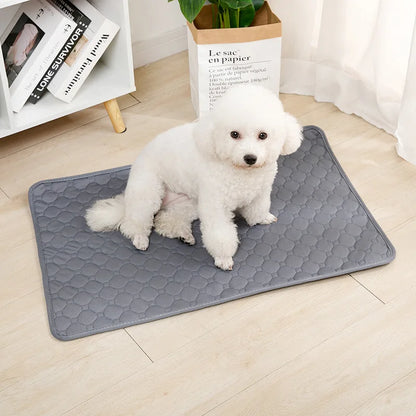 Washable Dog Pee Pad Blanket